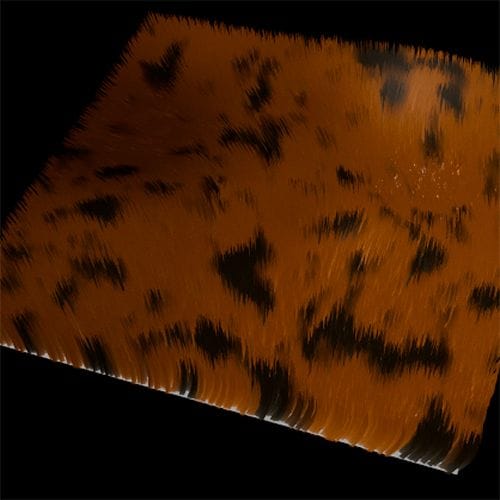 Screenshot 2025-10-31 at 9.42.08 AM.jpg