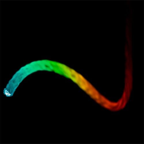 Screenshot 2026-01-24 at 11.34.43 PM.jpg